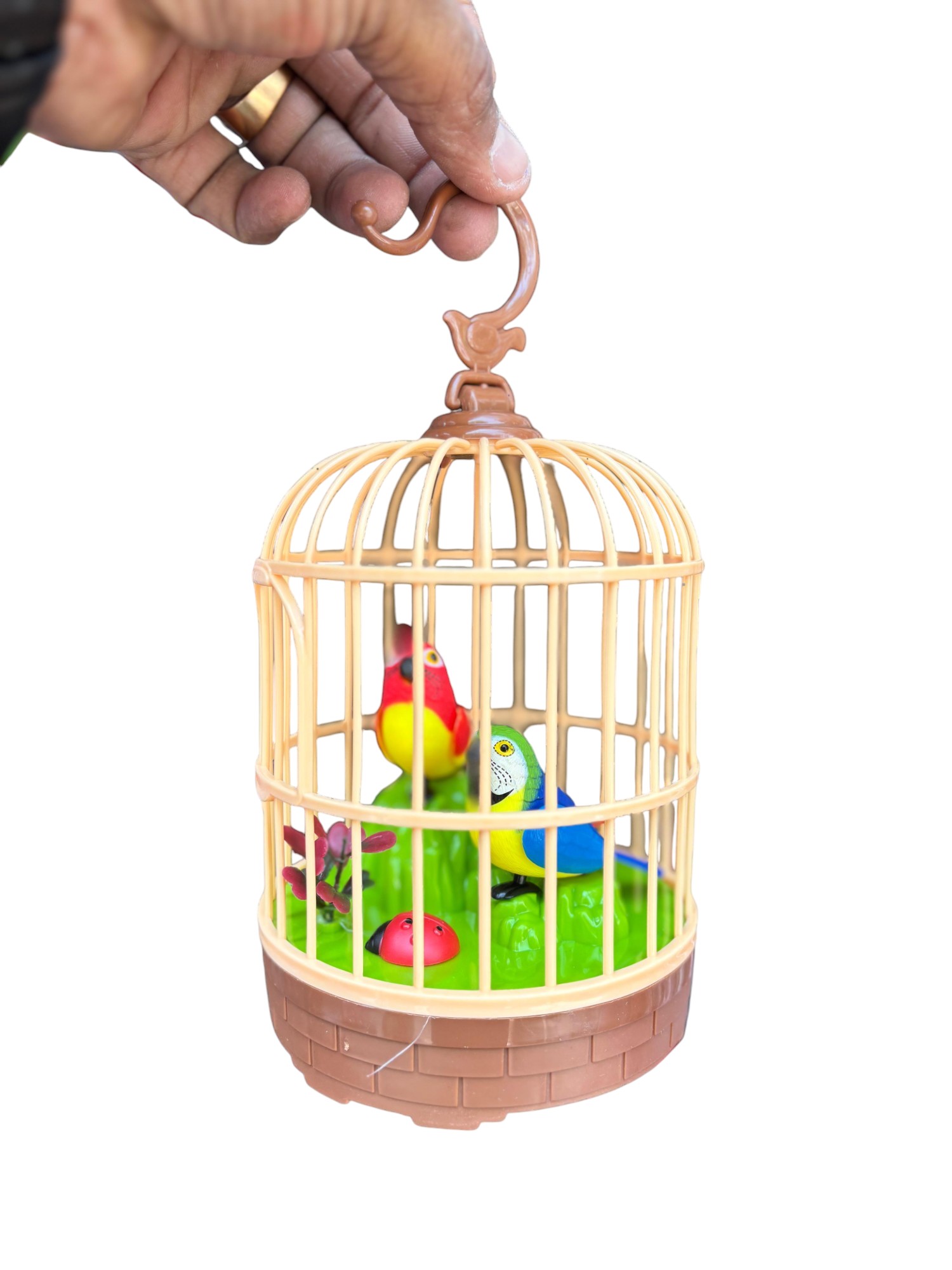 Decorative Bird Cage with Toy Birds
