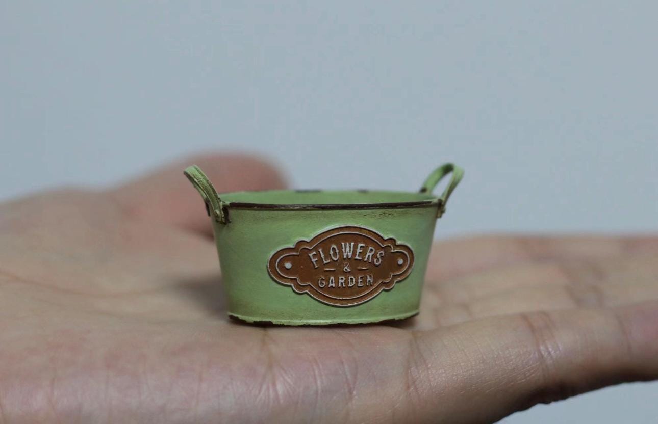Mini flowers and garden planters 