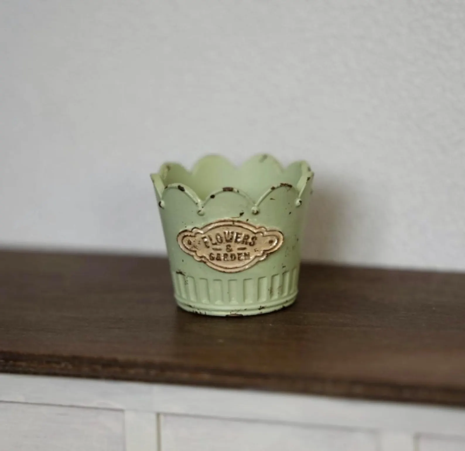 Mini flowers and garden planters 