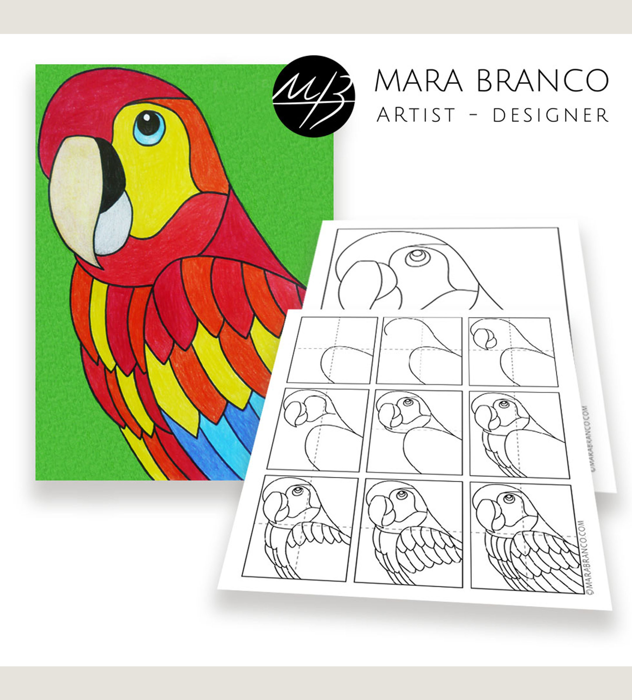 Parrot Drawing