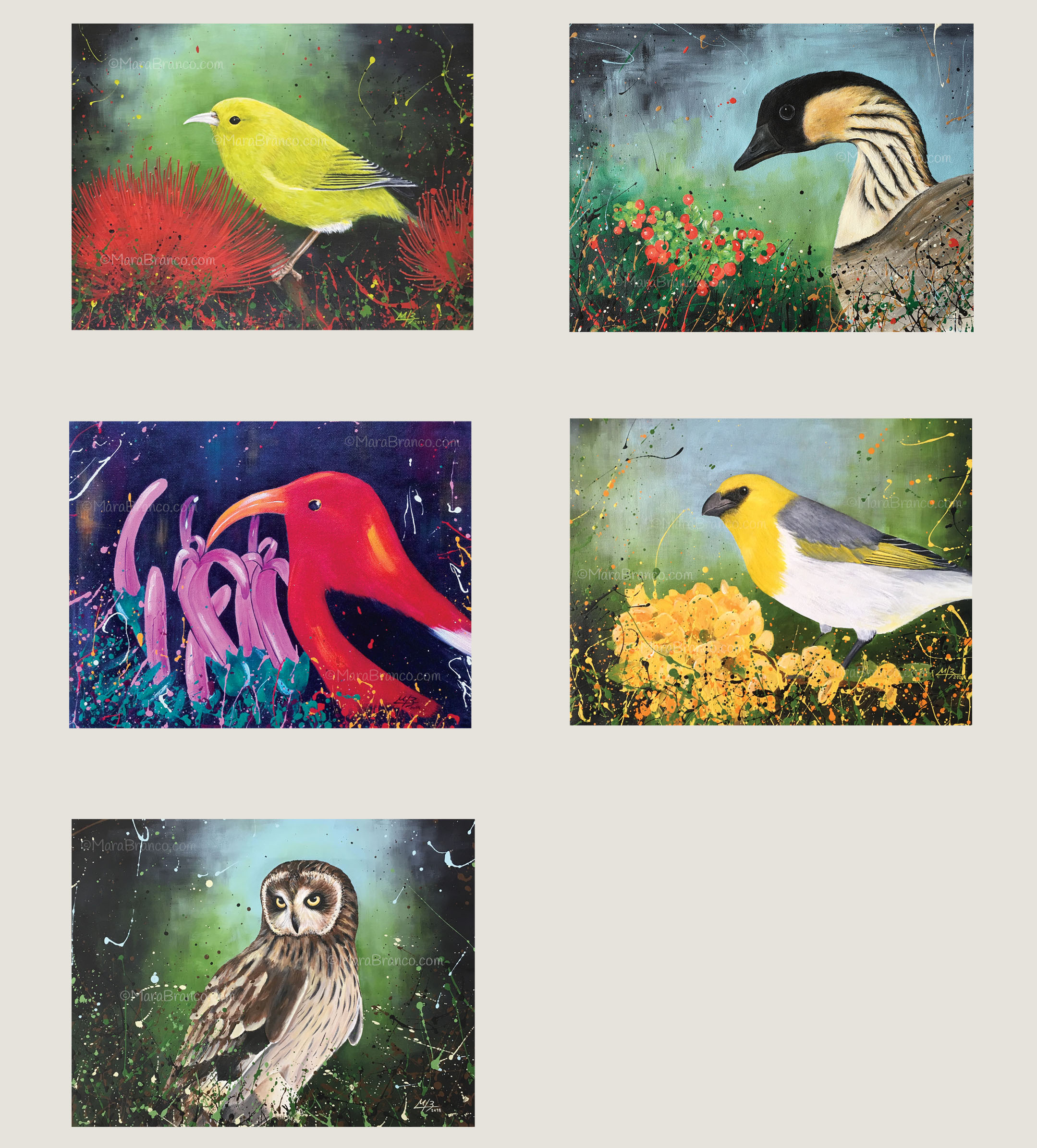 Endemic Hawaiian Birds Postcards