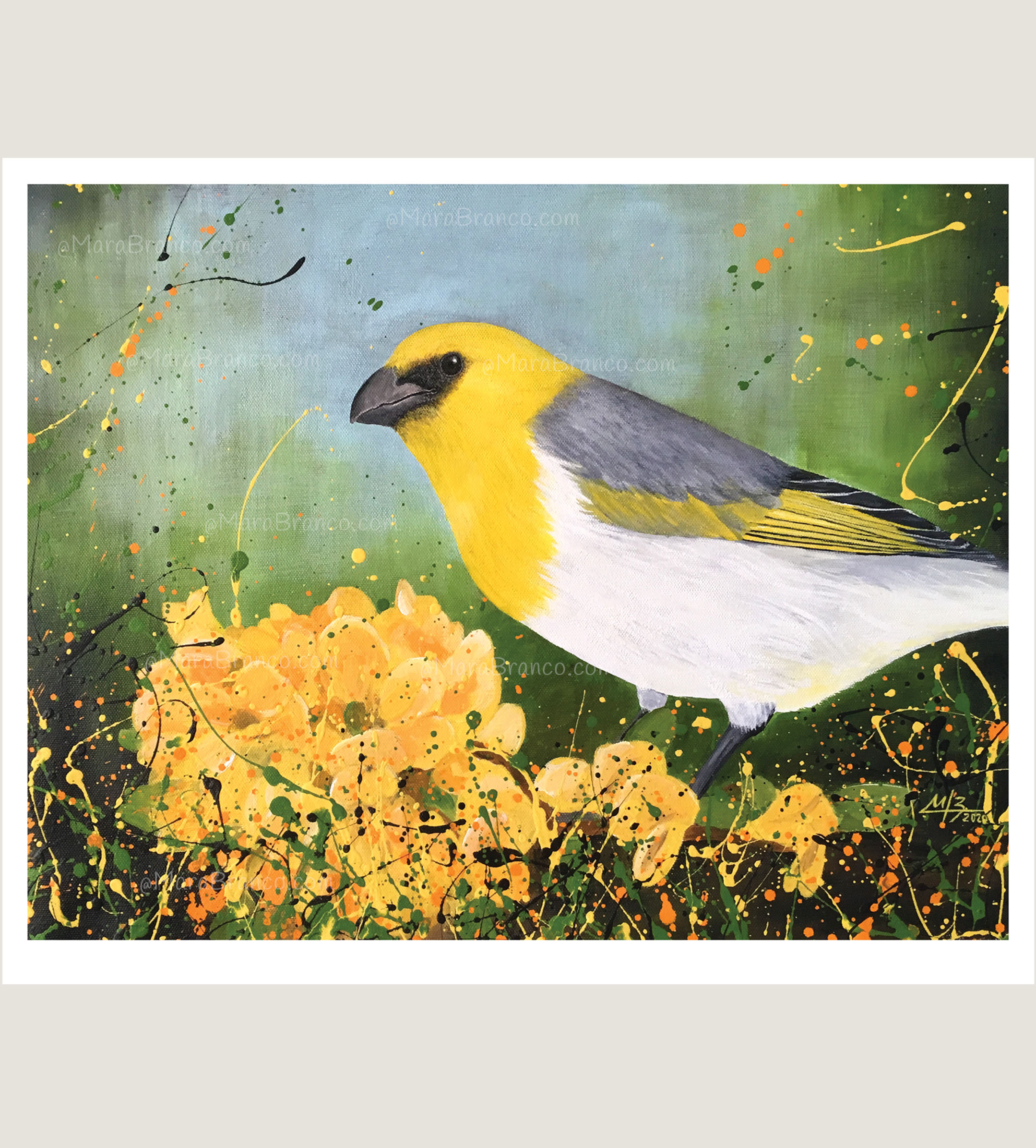 "Palila"  Mini print