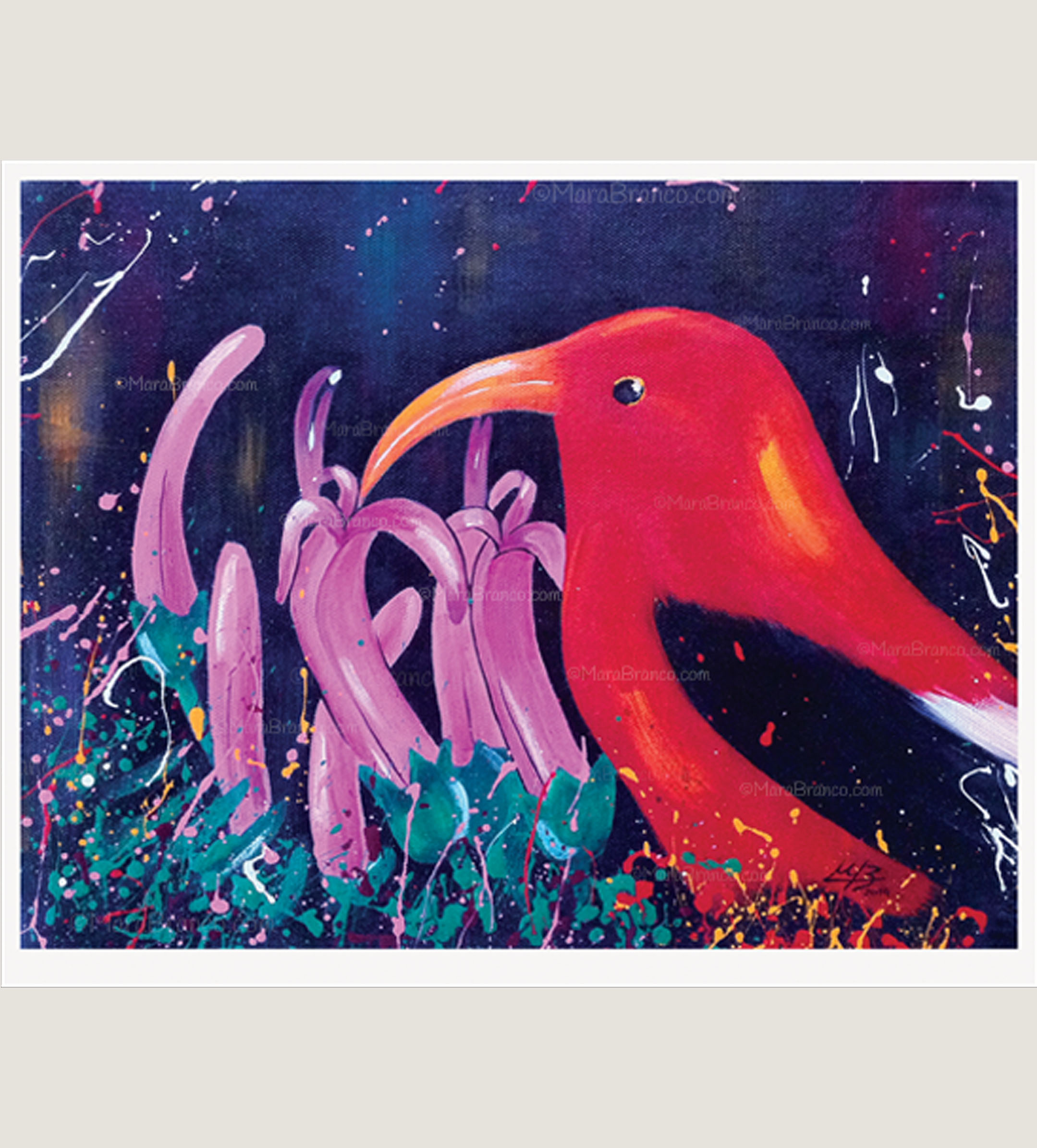 "I'iwi"  Art Print