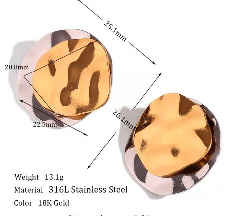 Stainless Steel Earrings