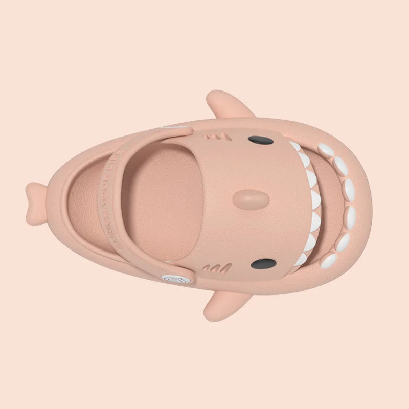 Bébé Requin 