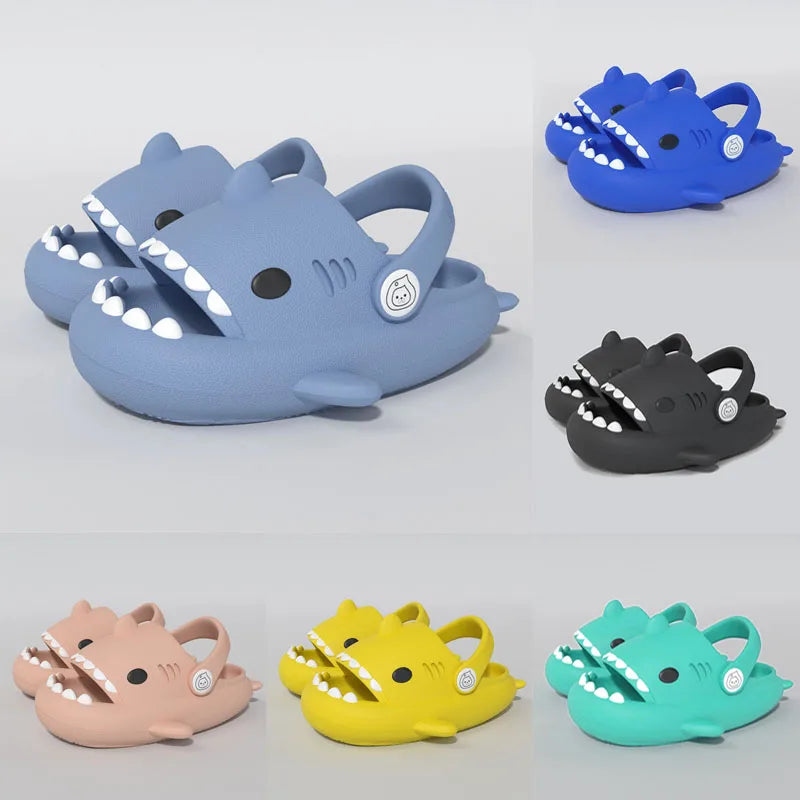 Bébé Requin 