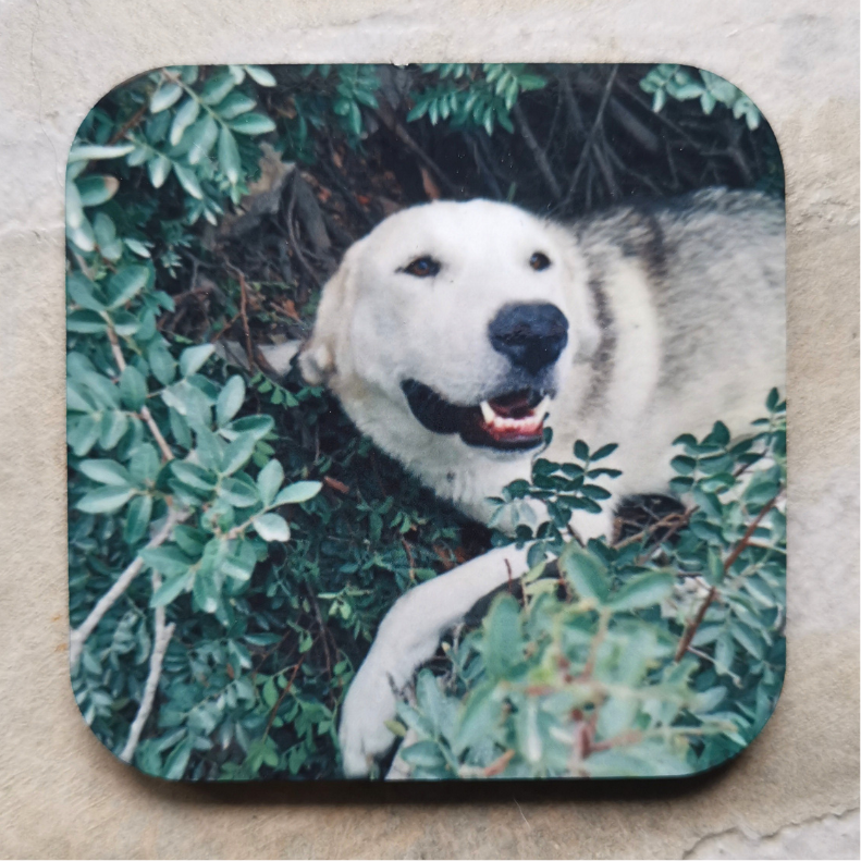 Personalised magnets 6 x 6 cm (6 pcs)