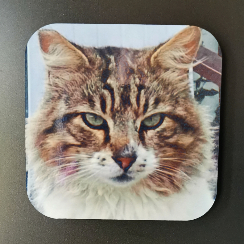 Personalised magnets 6 x 6 cm (6 pcs)