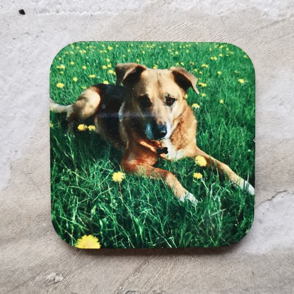 Personalised magnets 5 x 5 cm (6 pcs)