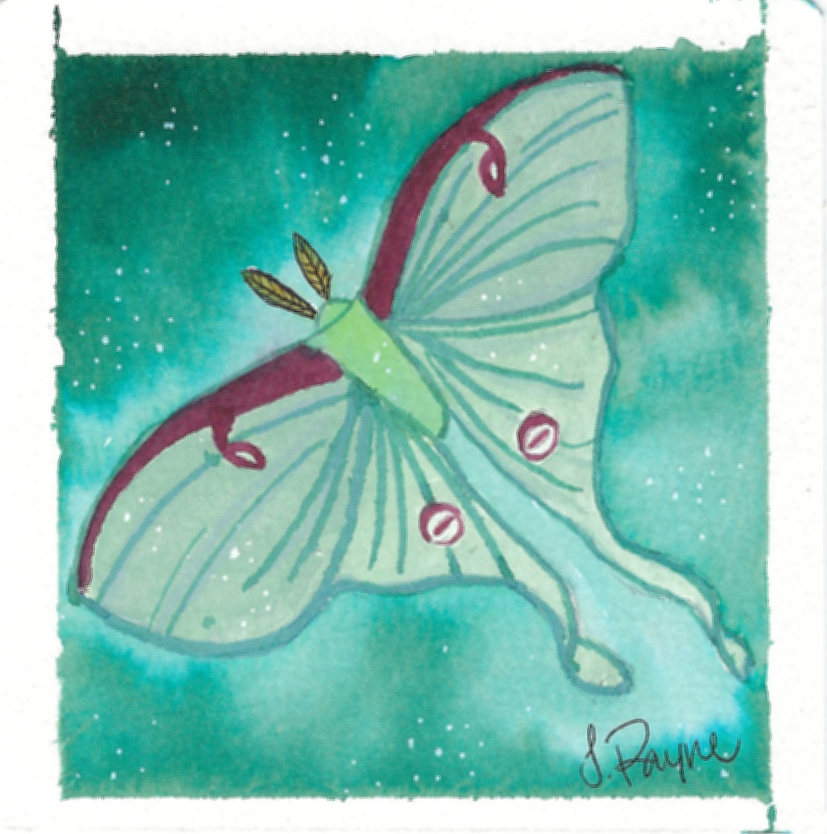 Luna Moth Mini
