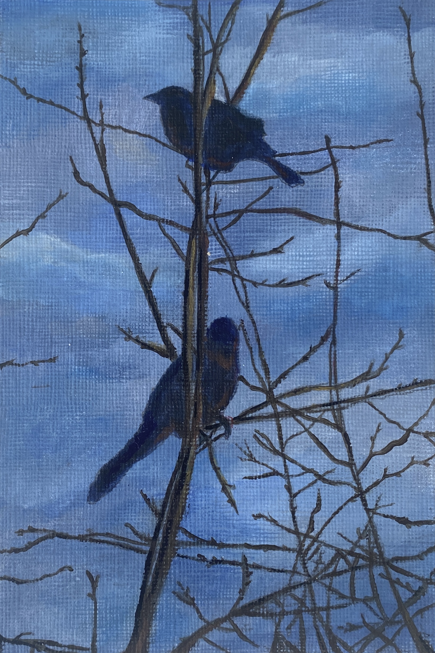 Bird's Eye View - Original Painting