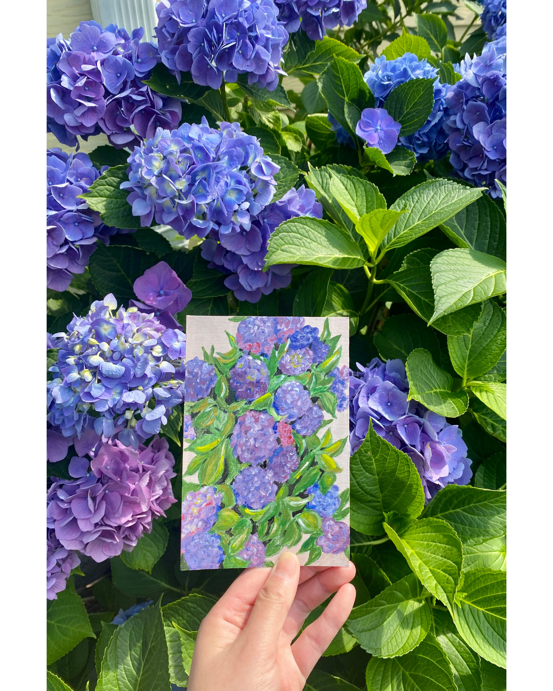 Hydrangeas - Original Painting