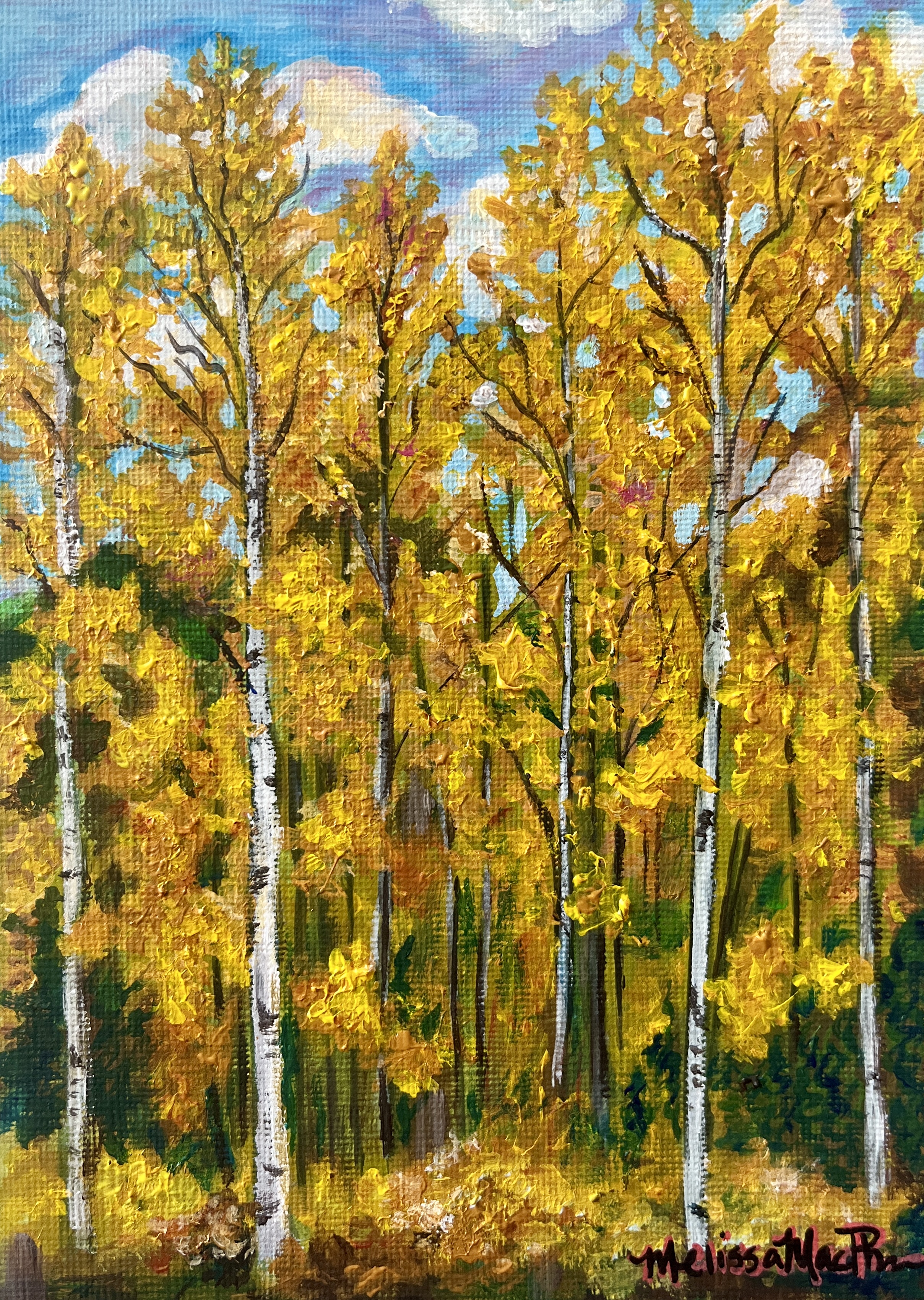 Golden Hour Birch Trees - Original Painting