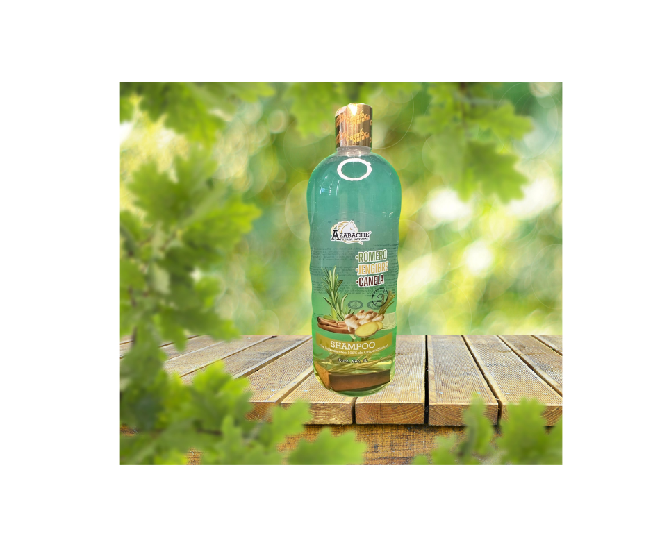 Shampoo Azabache de Romero, Jengibre y Canela