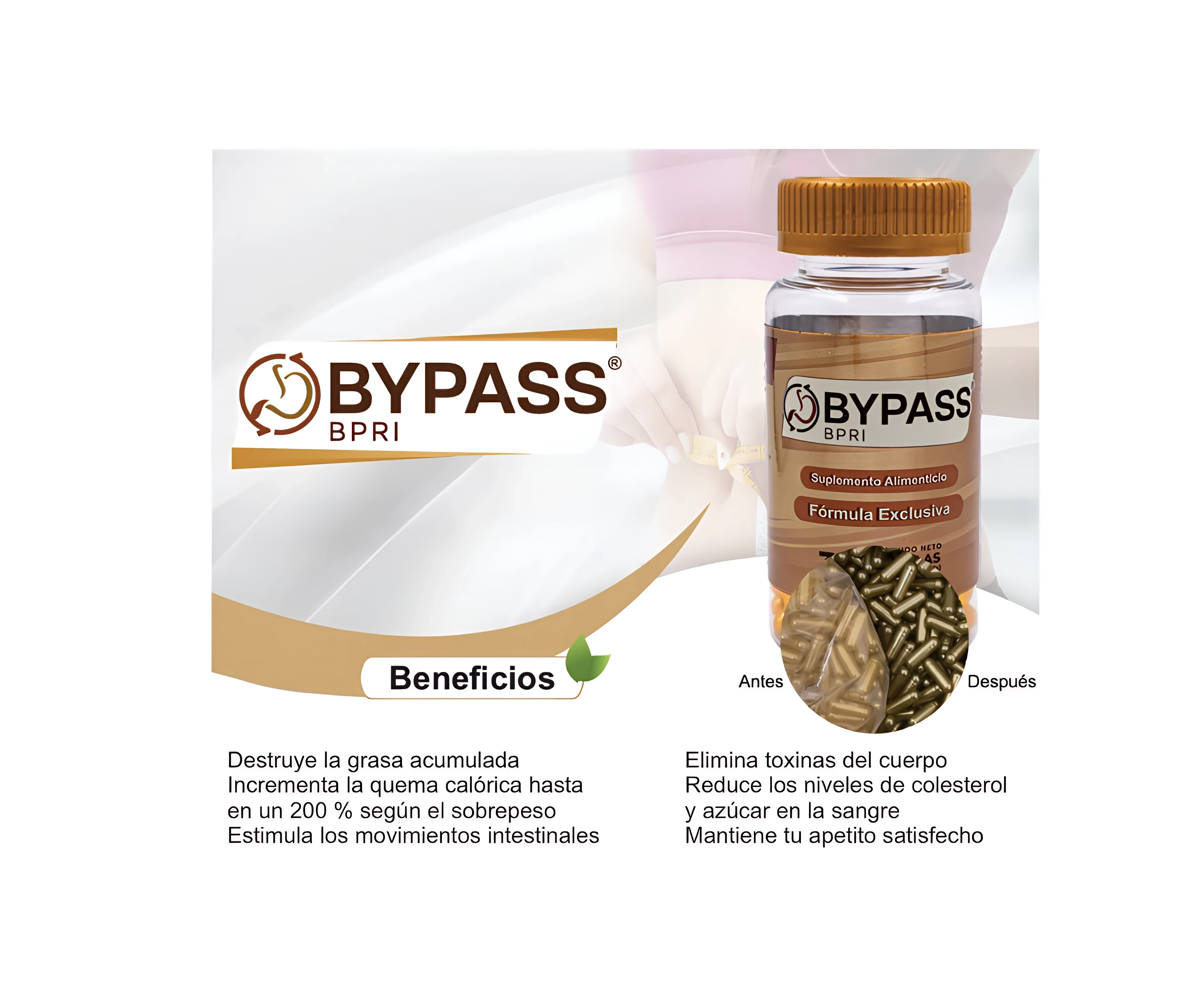  BPASS (dorado)