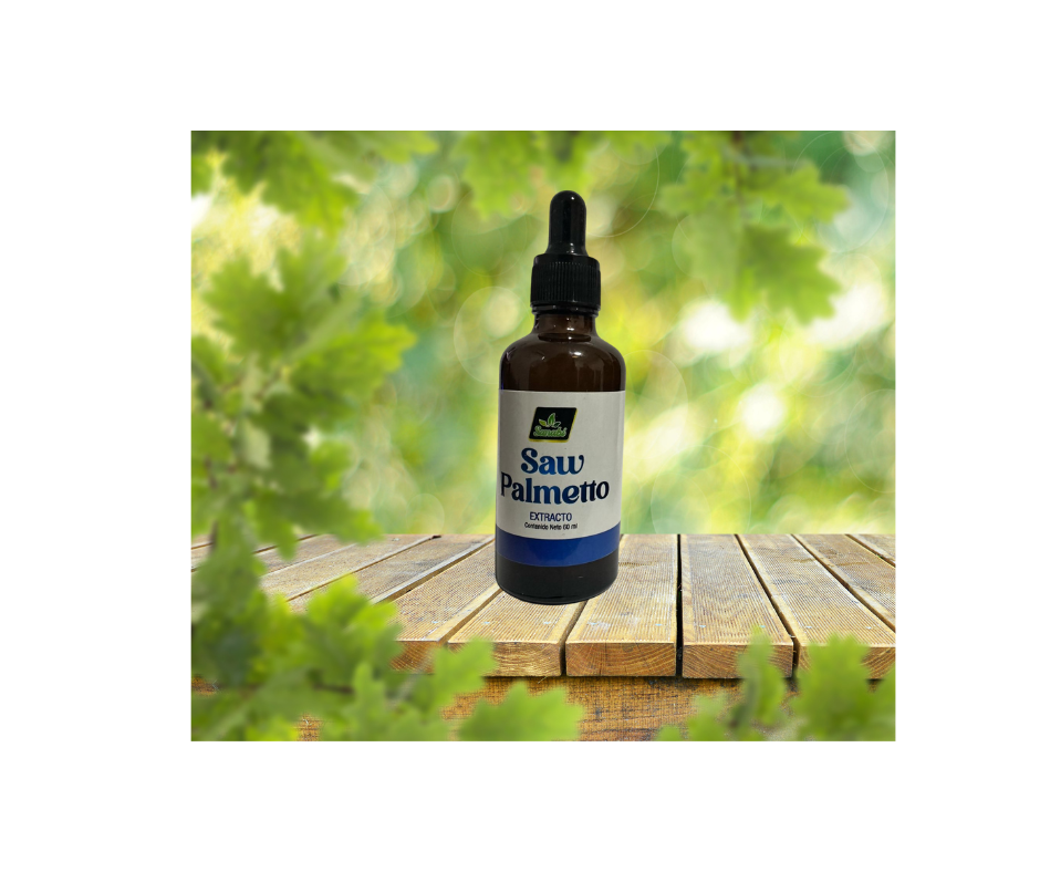  Saw Palmetto