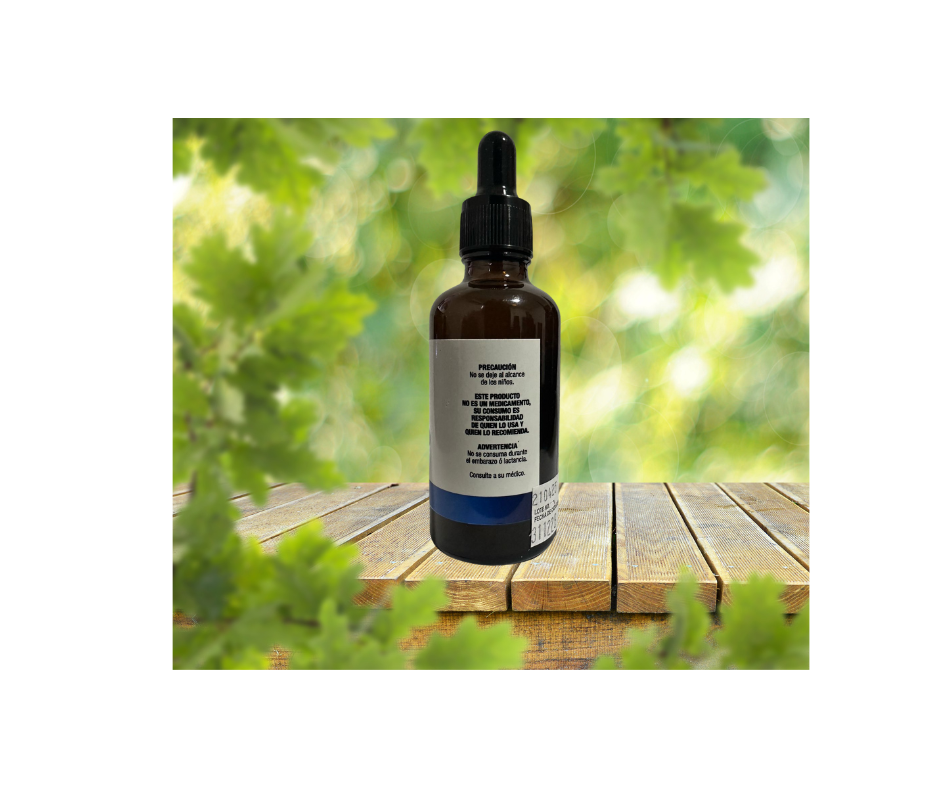  Saw Palmetto