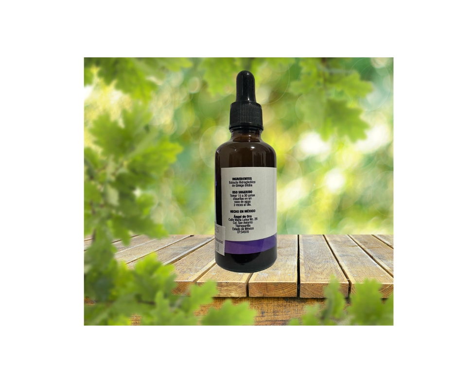 Extracto de Ginkgo Biloba