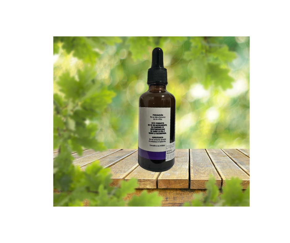 Extracto de Ginkgo Biloba