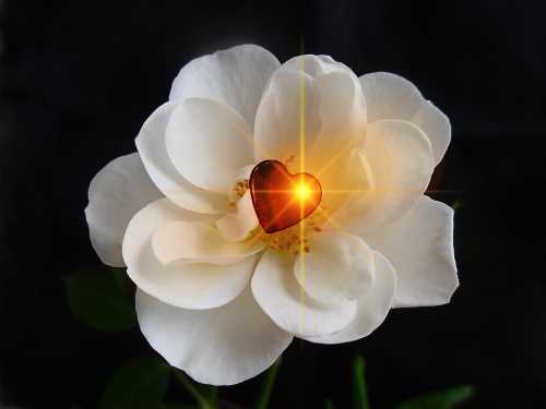 Wonders never cease!