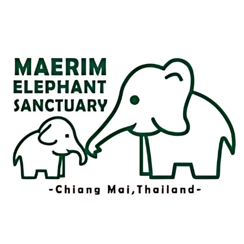 Maerim Elephant Sanctuary Full-Day Visit