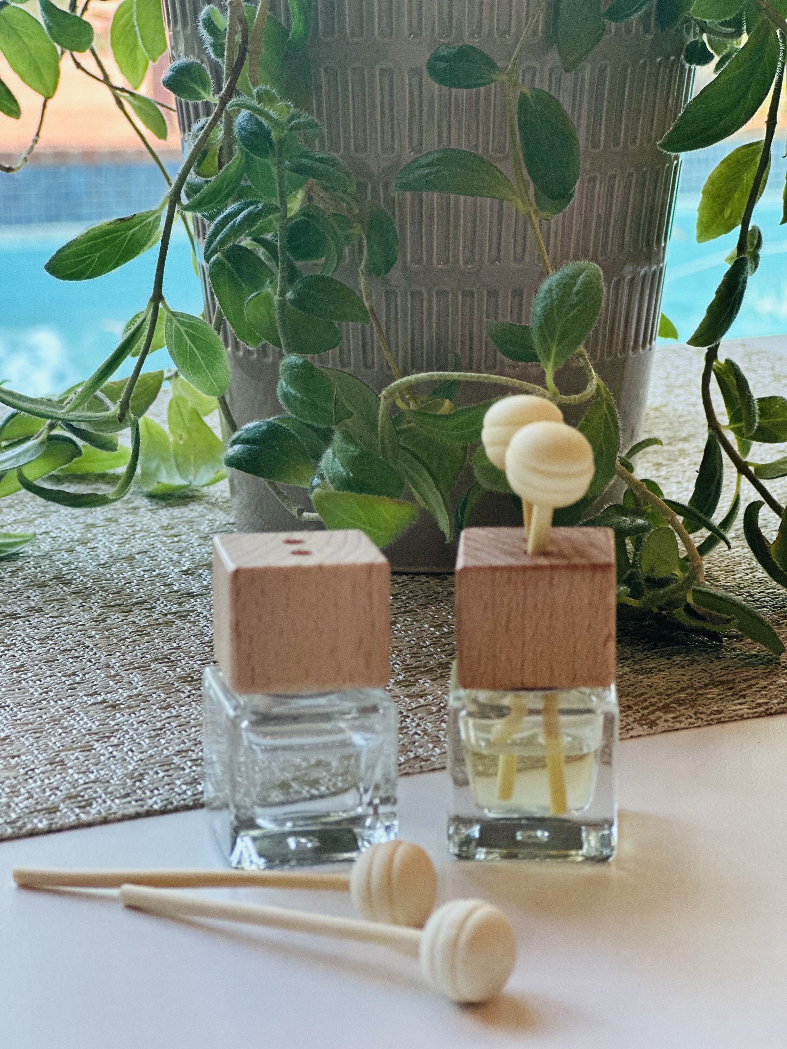 Clipped Car/Room Diffuser - Peppermint
