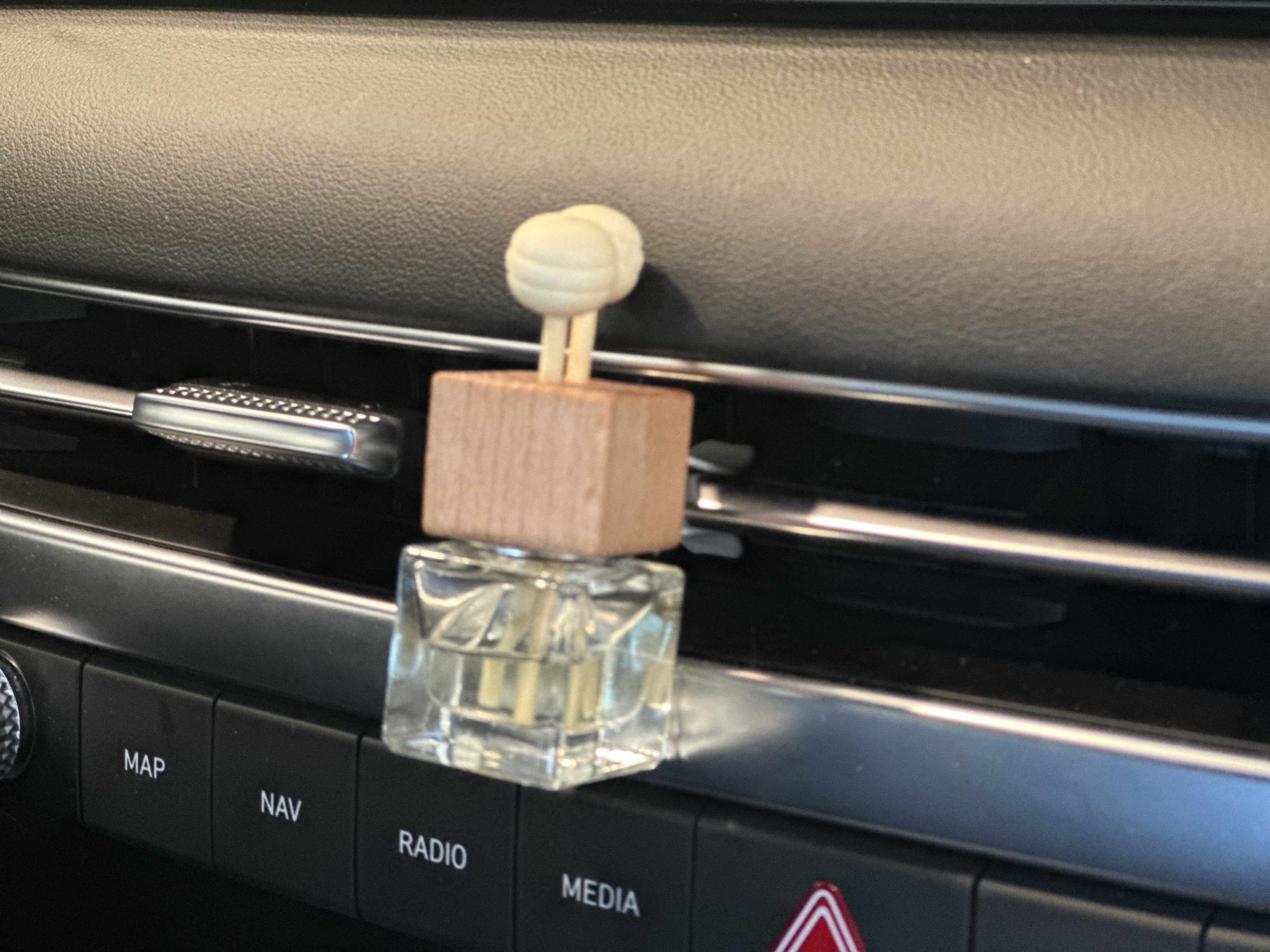 Clipped Car/Room Diffuser - Peppermint