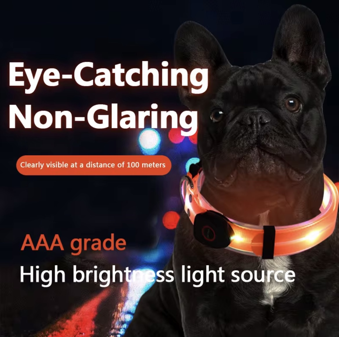 USB-Rechargeable LED Safety Collar – Light Up Night Walks