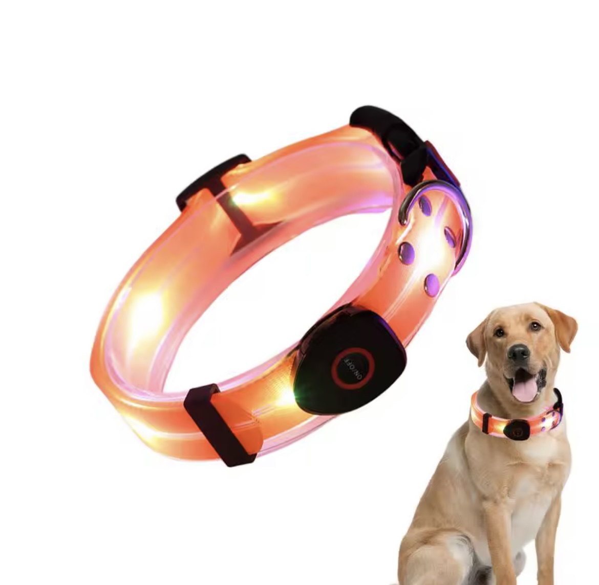 USB-Rechargeable LED Safety Collar – Light Up Night Walks
