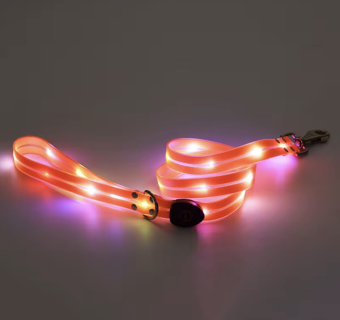 USB-Rechargeable LED Safety Leash – Light Up Night Walks