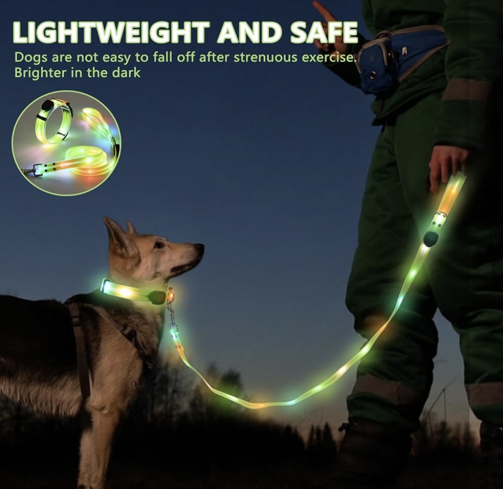 Light Up Night Walks Set – USB-Rechargeable LED Collar + Leash for Nighttime Adventures