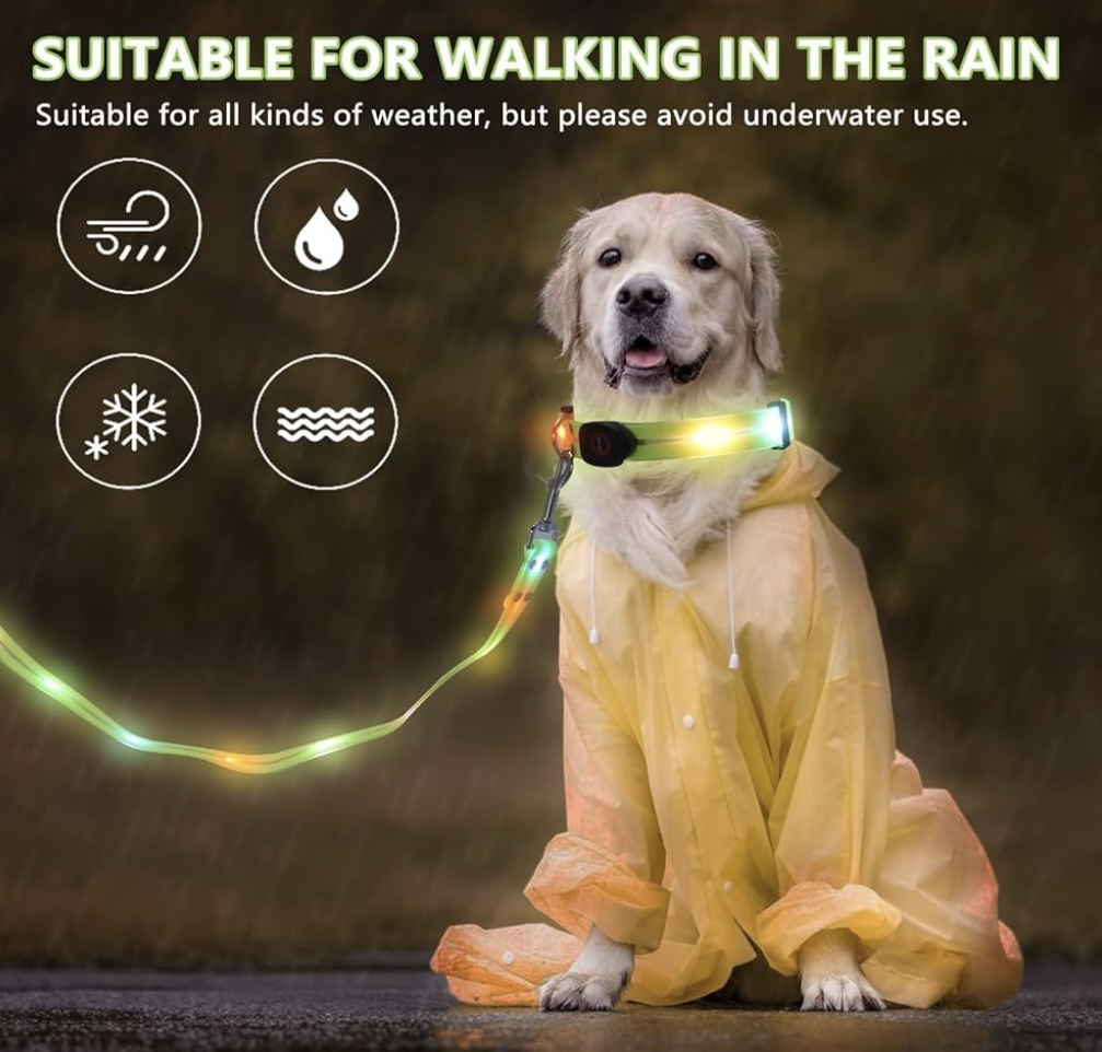 Light Up Night Walks Set – USB-Rechargeable LED Collar + Leash for Nighttime Adventures