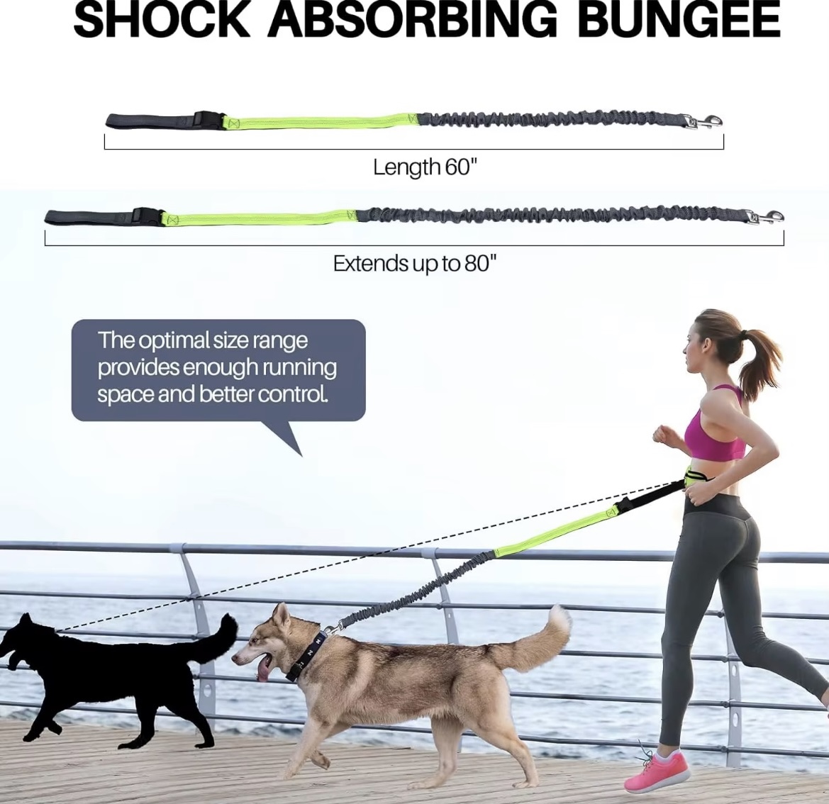 Hands Free Leash – For Owners Who Multitask