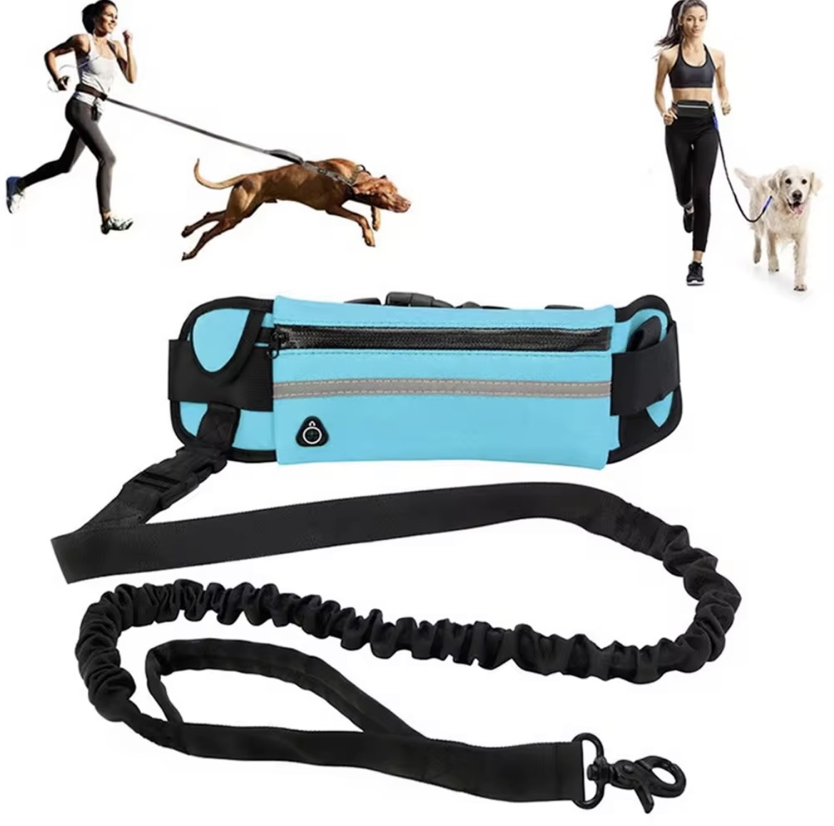 Hands Free Leash – For Owners Who Multitask