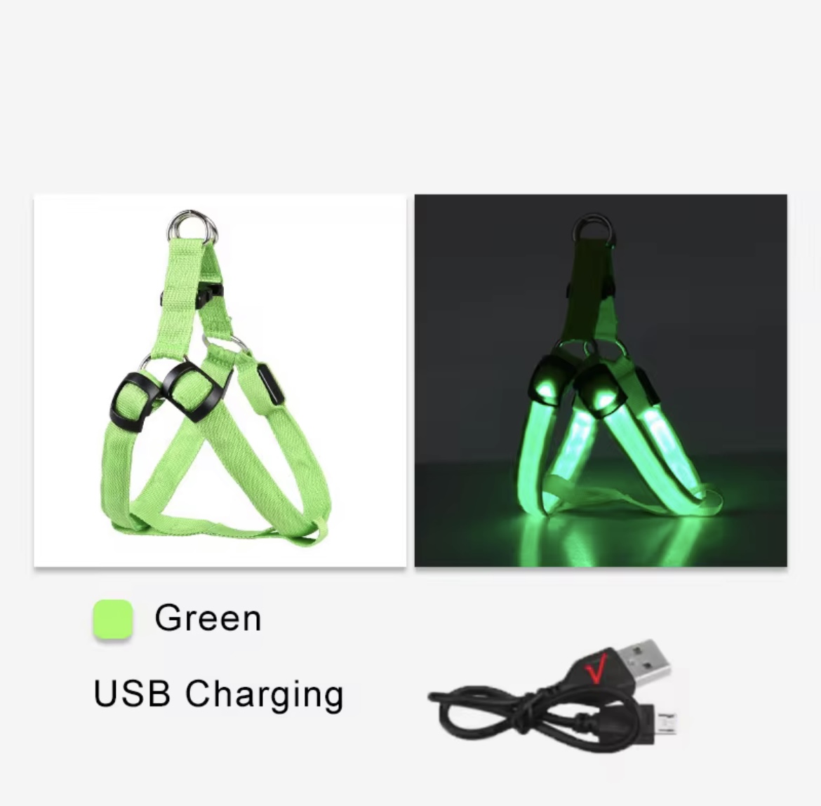 LightBurst Harness – Body Visibility for Night Walks