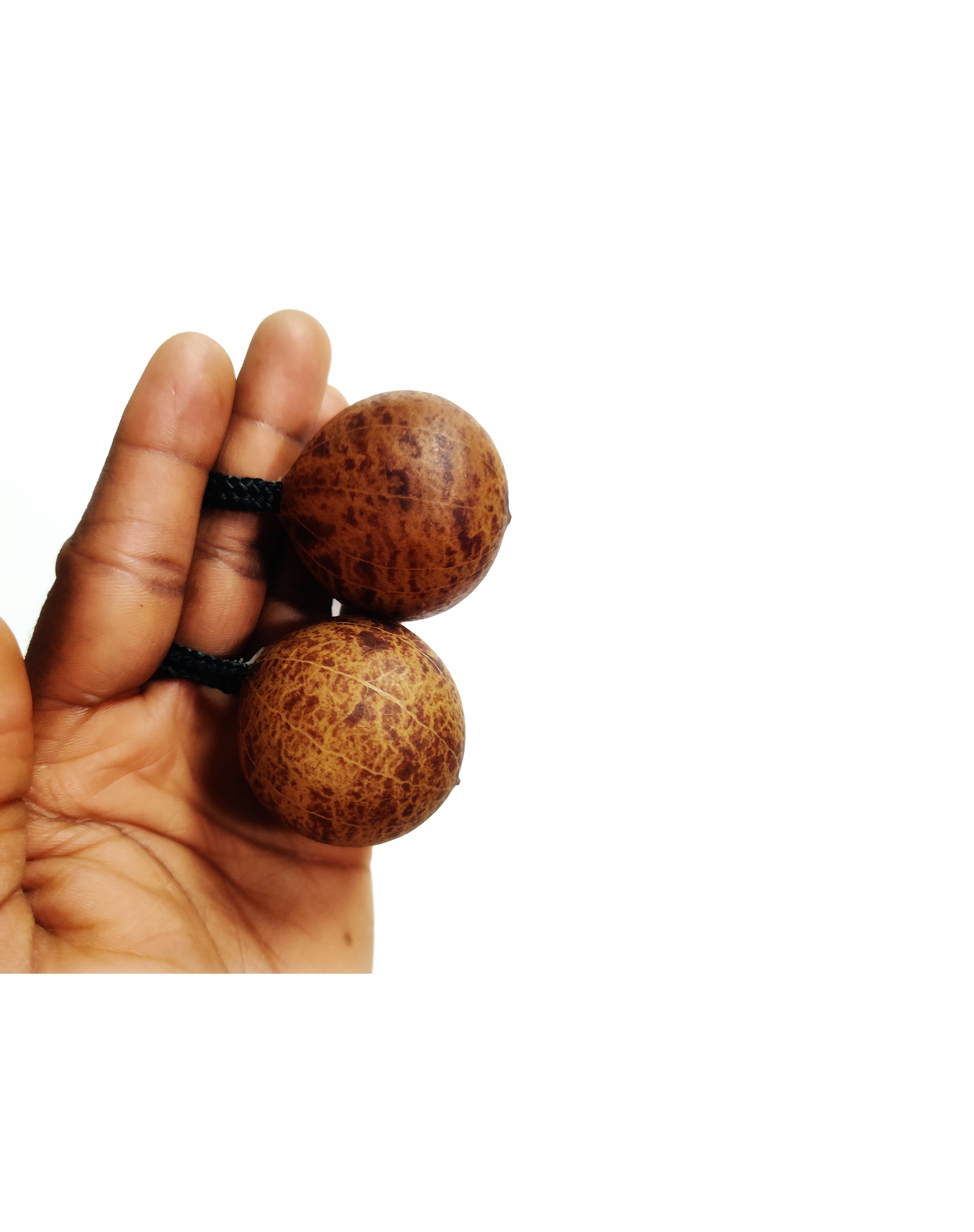 Mini Asalato Shaker - Handmade West African Percussion Instrument with Unique Design and Traditional Sound