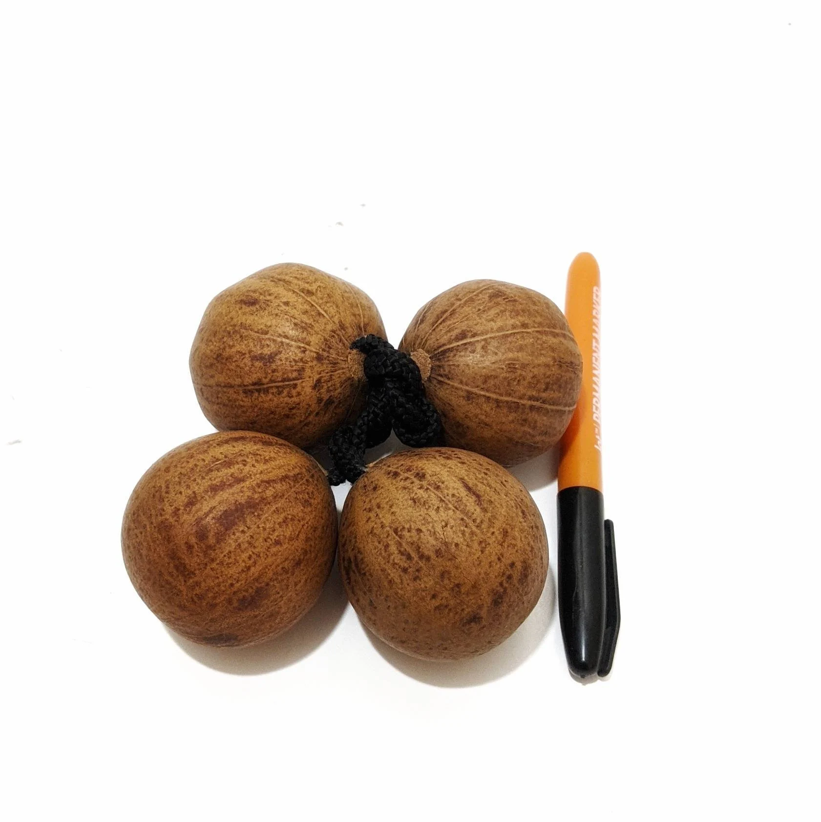 Asalato 2 Rattle Shakers for Medium Hands, Kashaka instrument Aslatua Shaker 2 hands instrument medium Hands use