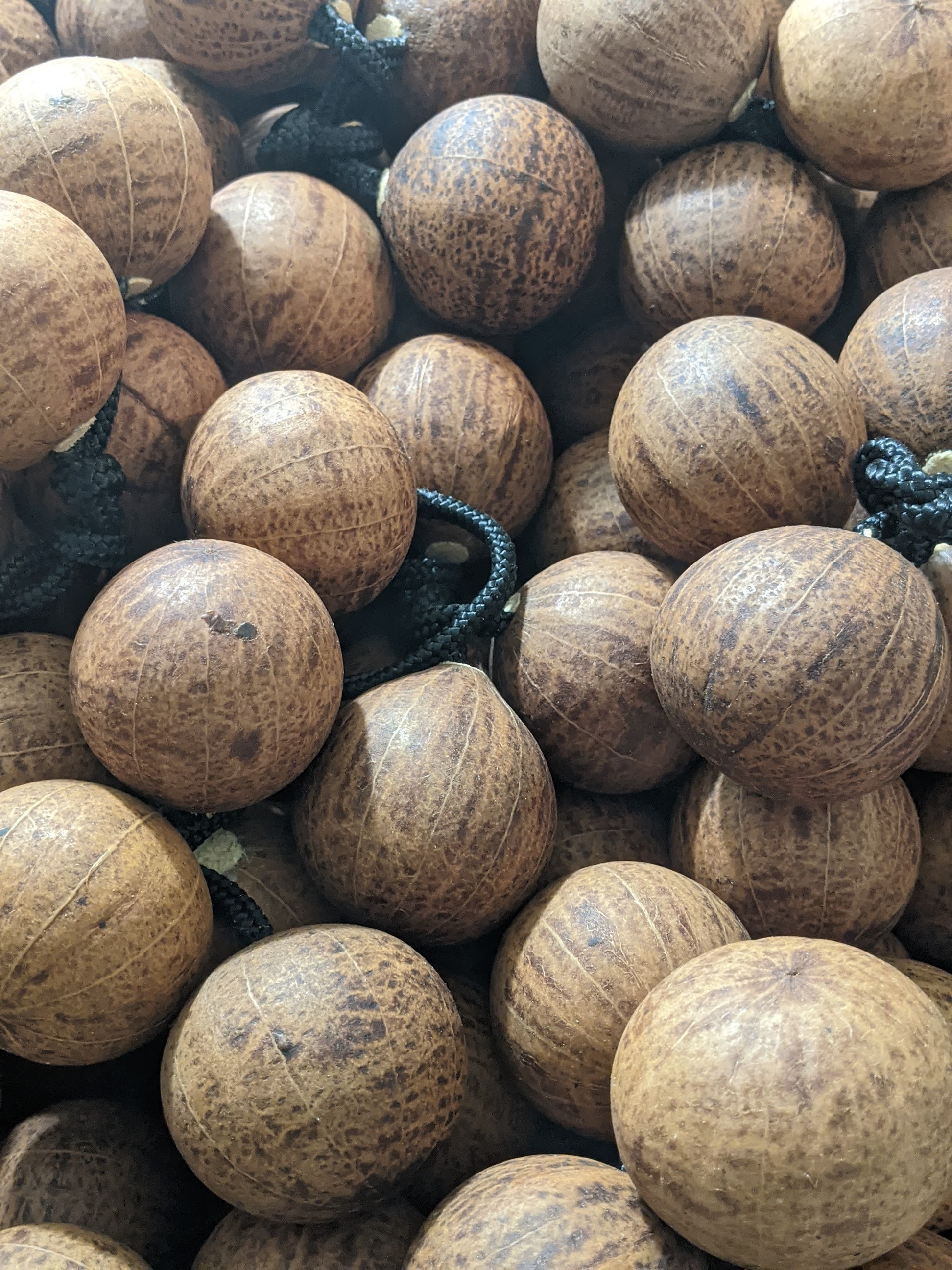 Asalato Kashaka Shaker – 2 Pcs for Large Hands | Natural Gourd African Percussion Instrument