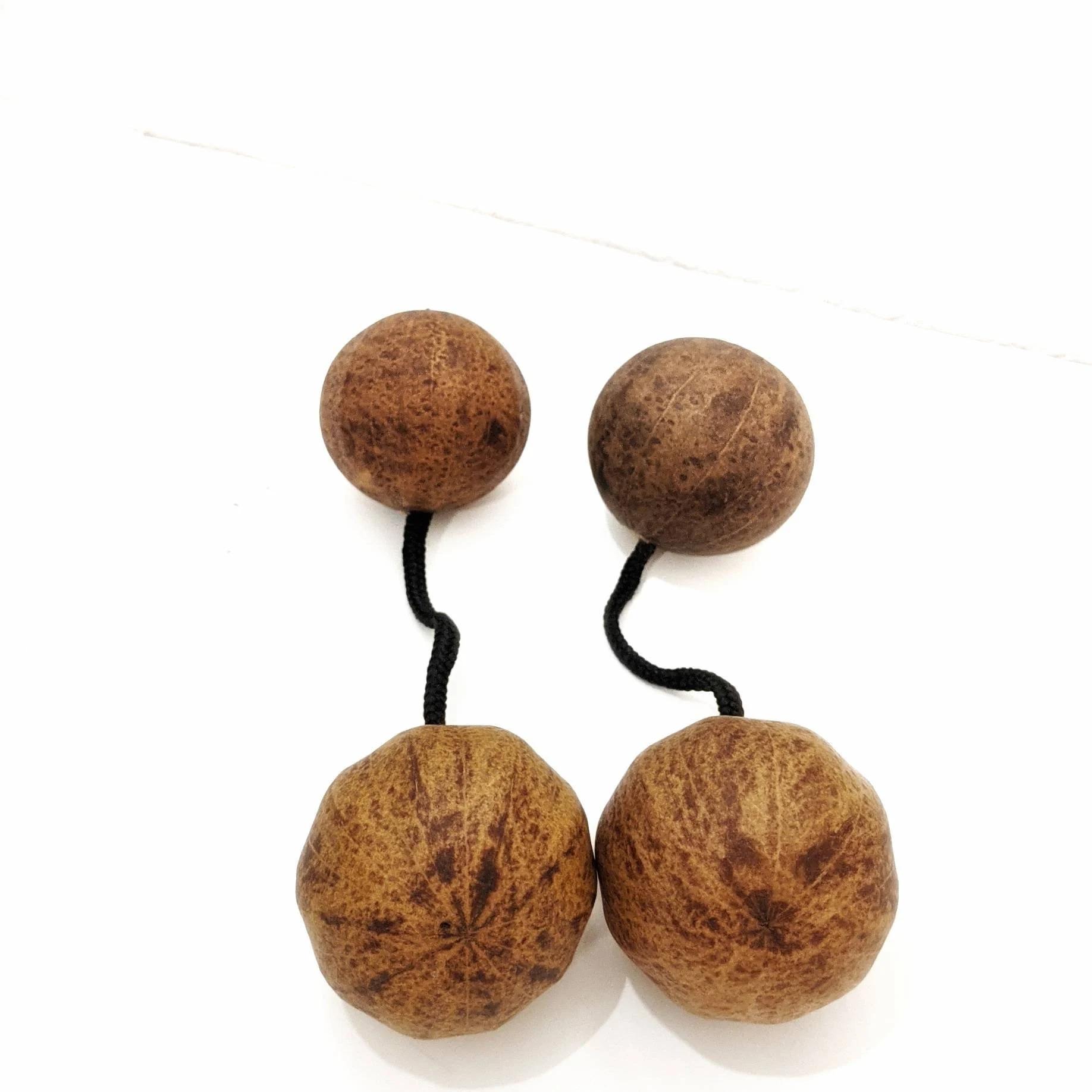 Asalato Kashaka Shaker – 2 Pcs for Large Hands | Natural Gourd African Percussion Instrument