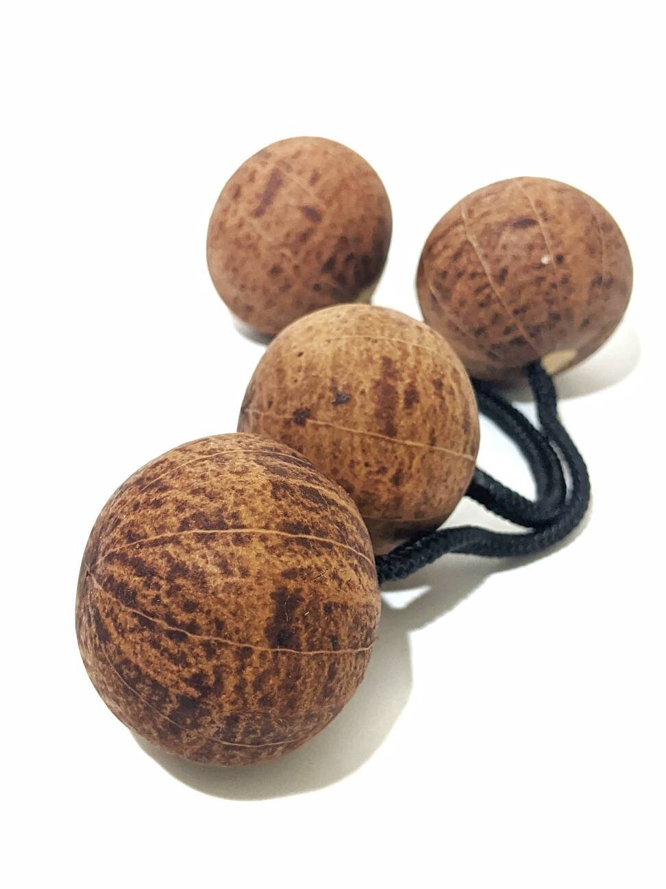 Asalato Kashaka Shaker – 2 Pcs for Large Hands | Natural Gourd African Percussion Instrument