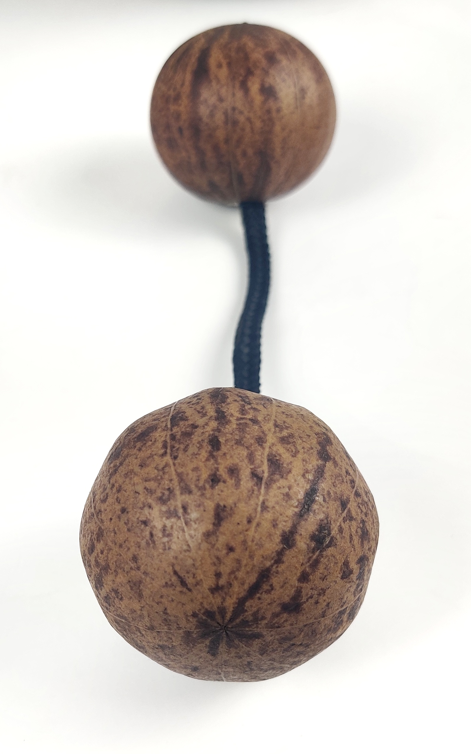 Asalato, 1 Rattle shaker Kashakas instrument one hand use only