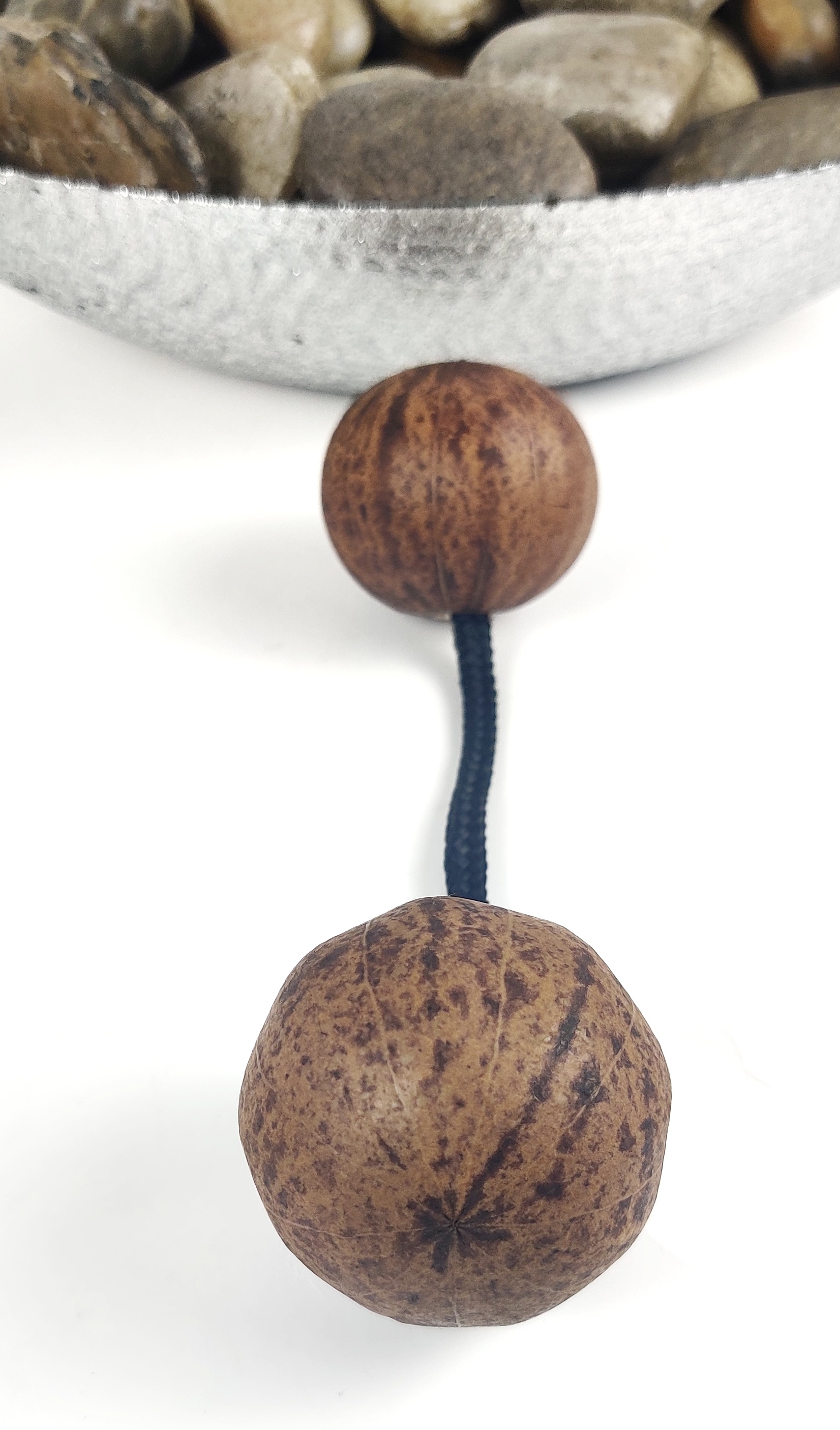 Asalato, 1 Rattle shaker Kashakas instrument one hand use only