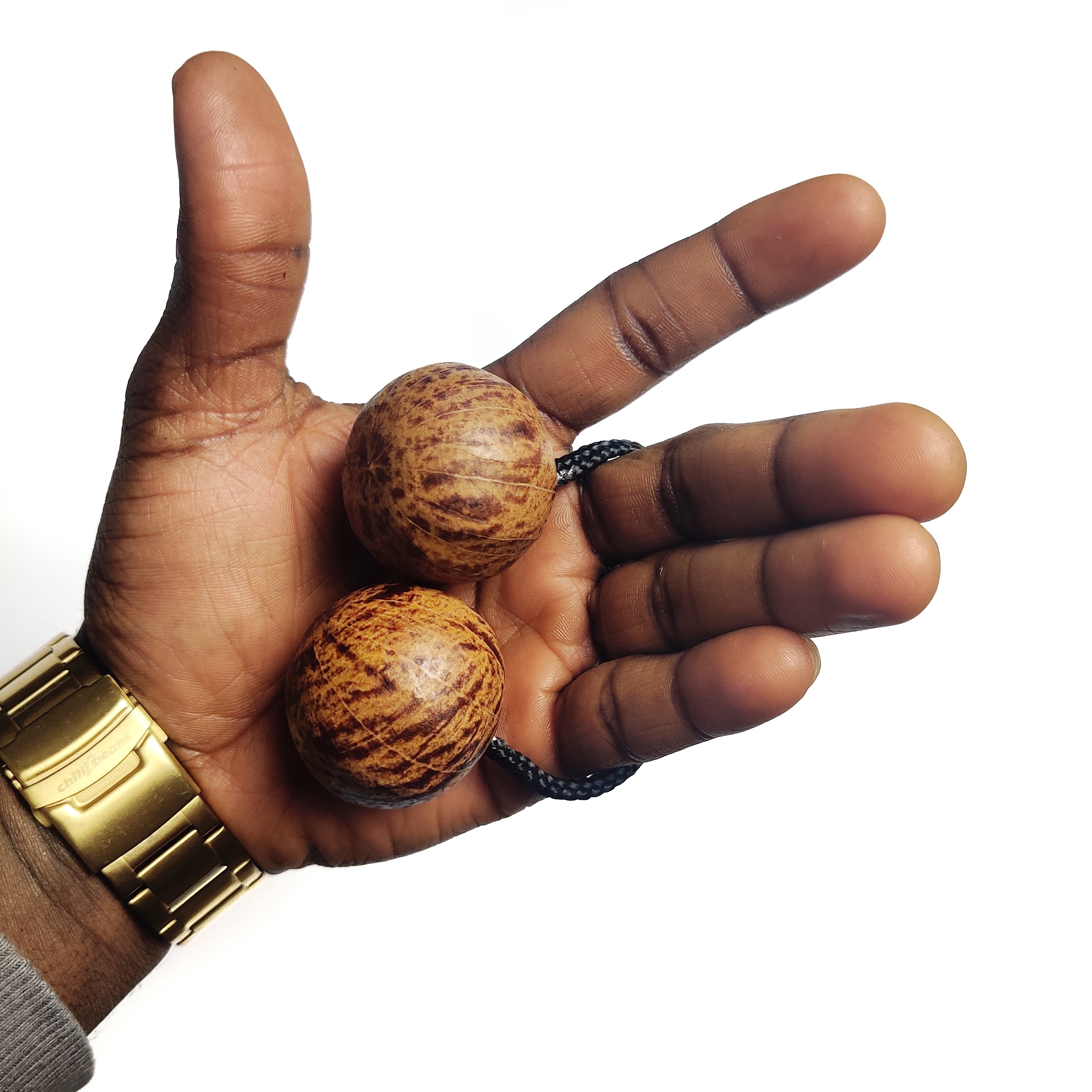 Asalato, 1 Rattle shaker Kashakas instrument one hand use only