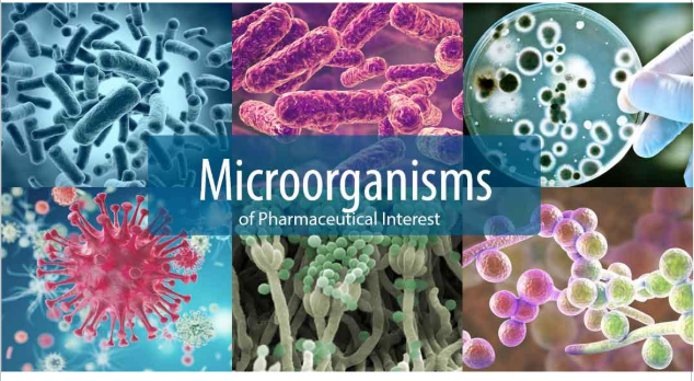 Introduction to Pharmaceutical Quality Control (QC) Microbiology Training Presentation