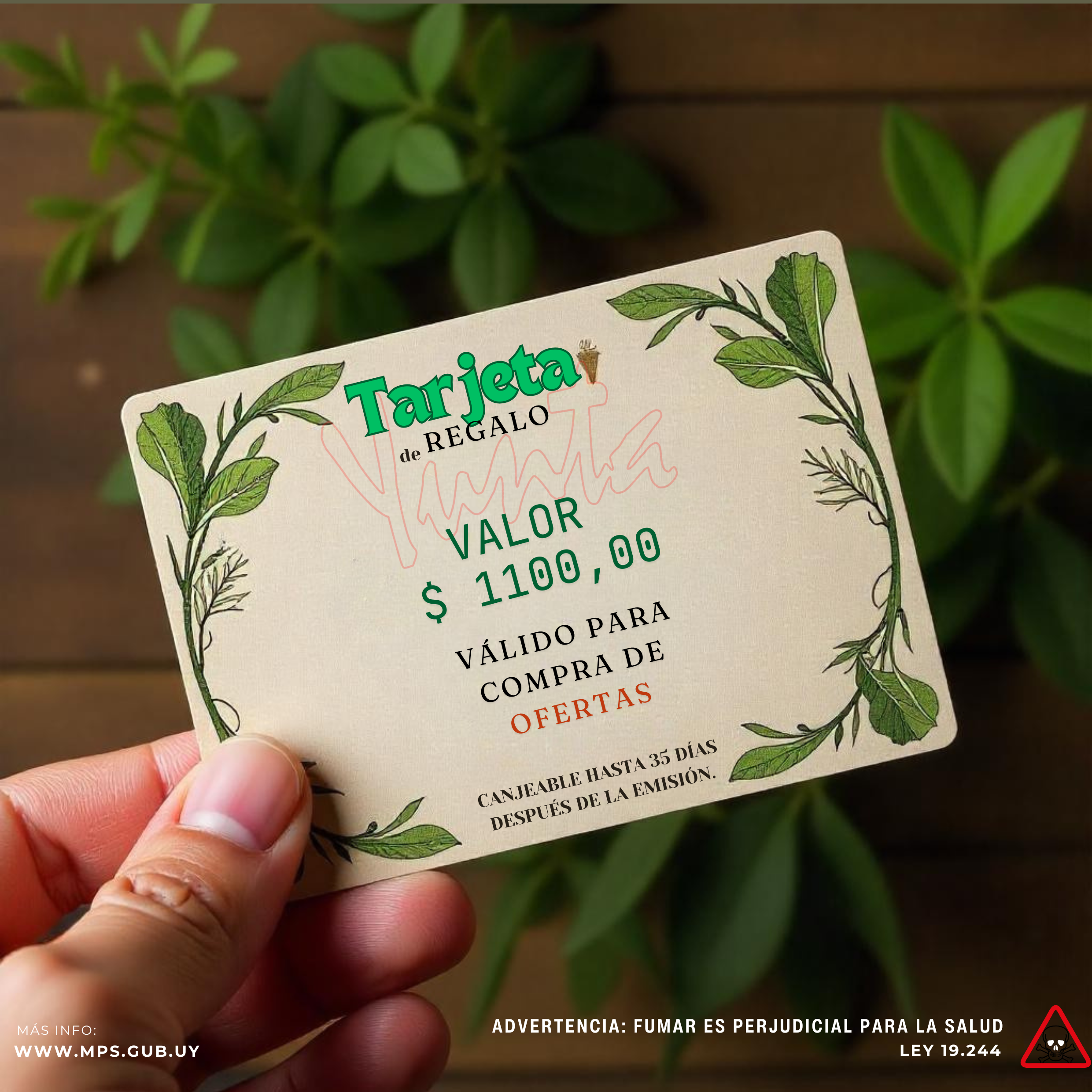 Tarjeta de Regalo mágica, paga $ 1100 y compra por $ 1500.