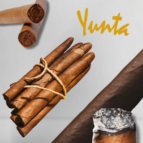Habanos estilo Tayta Sayri GRUESO (13 CM)