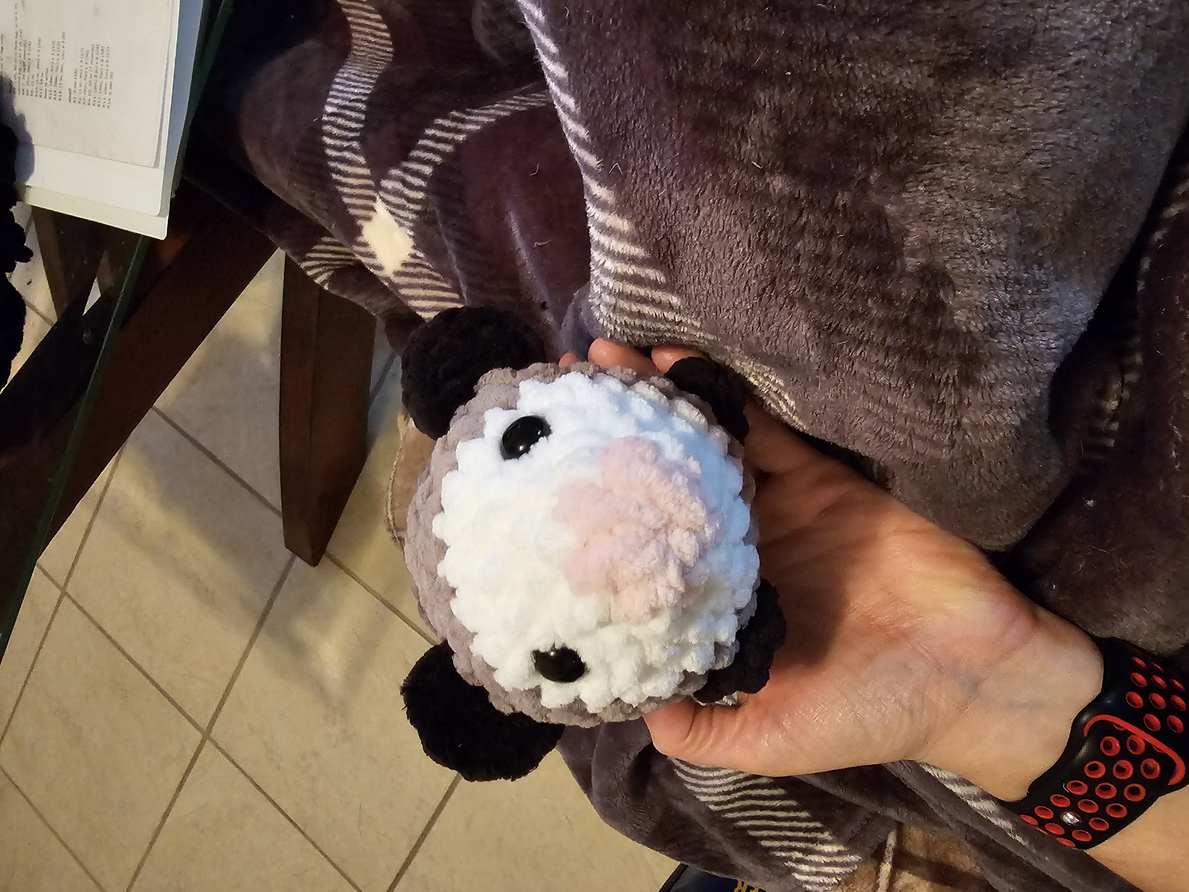Opossum 