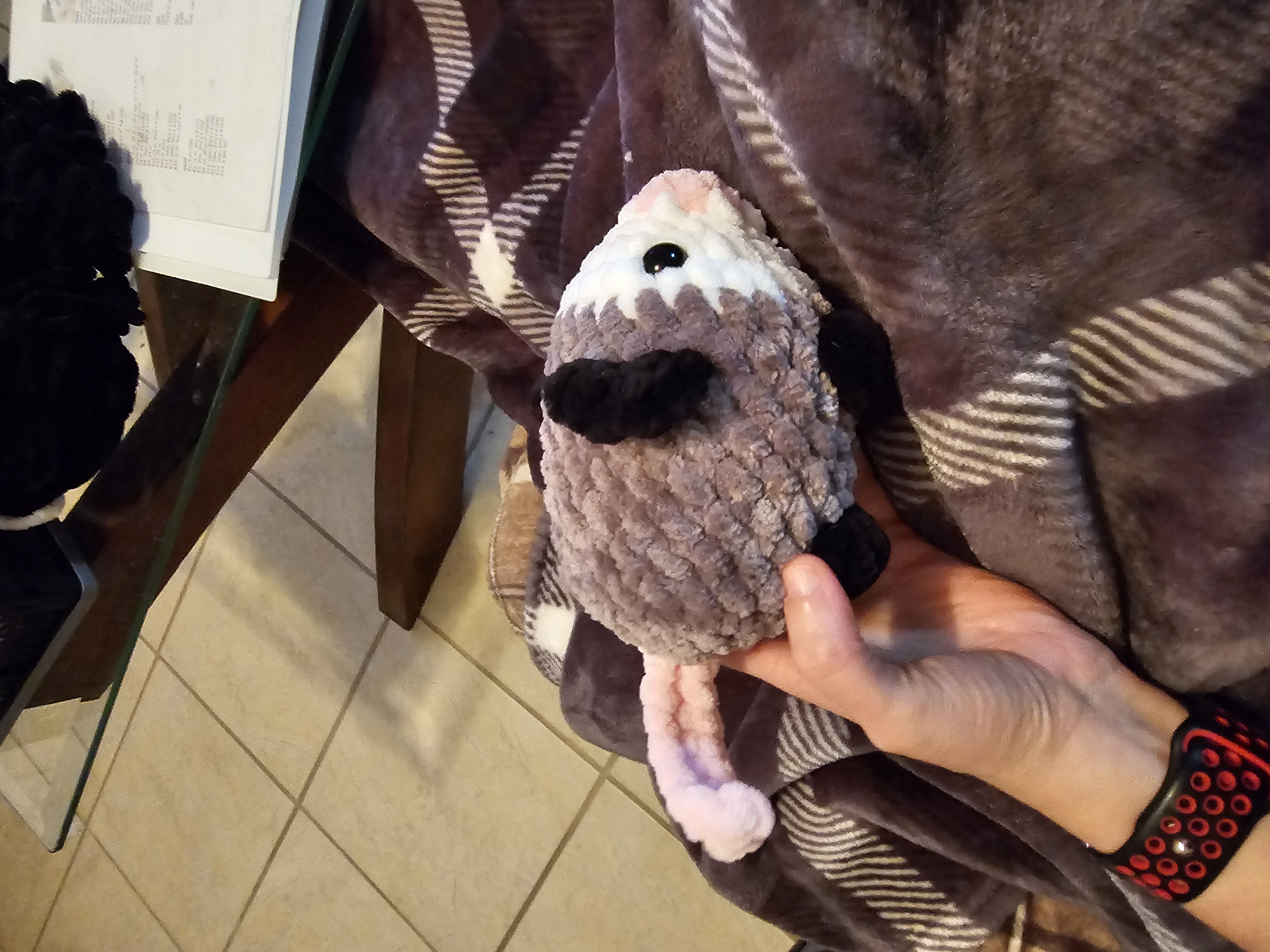 Opossum 