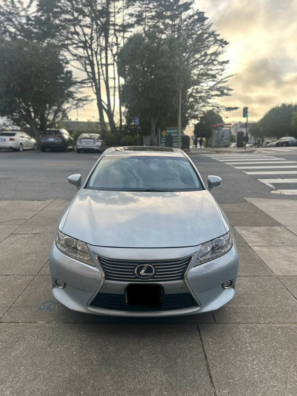 2014 Lexus ES300h Hybrid 