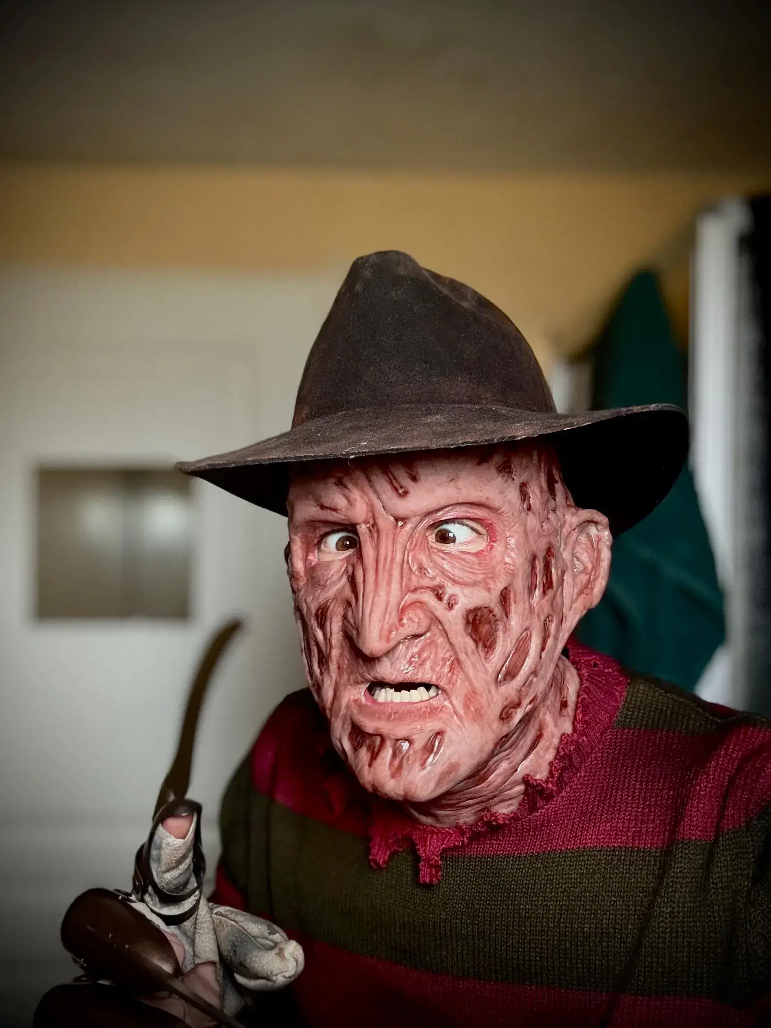 Freddy 2003